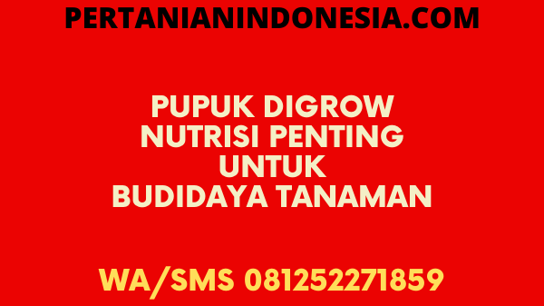 Pupuk Digrow Nutrisi Penting Untuk Budidaya Tanaman